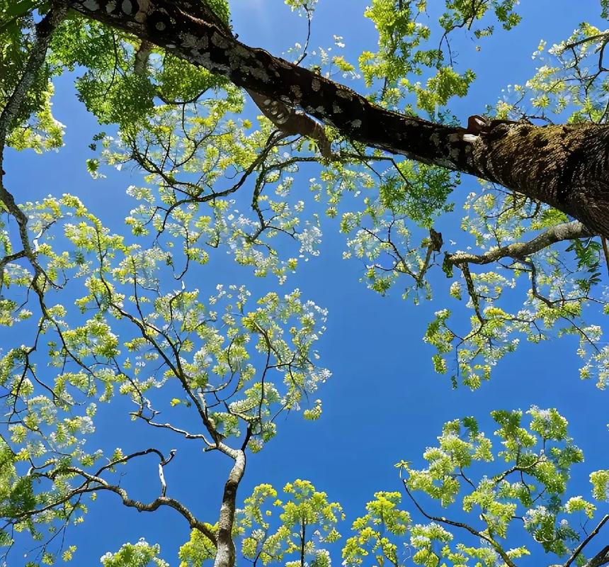 厦门KTV招聘,厦门夜总会,诚信直招盼你来,共赴职场好前景